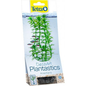 Plant DecoArt S Anacharis